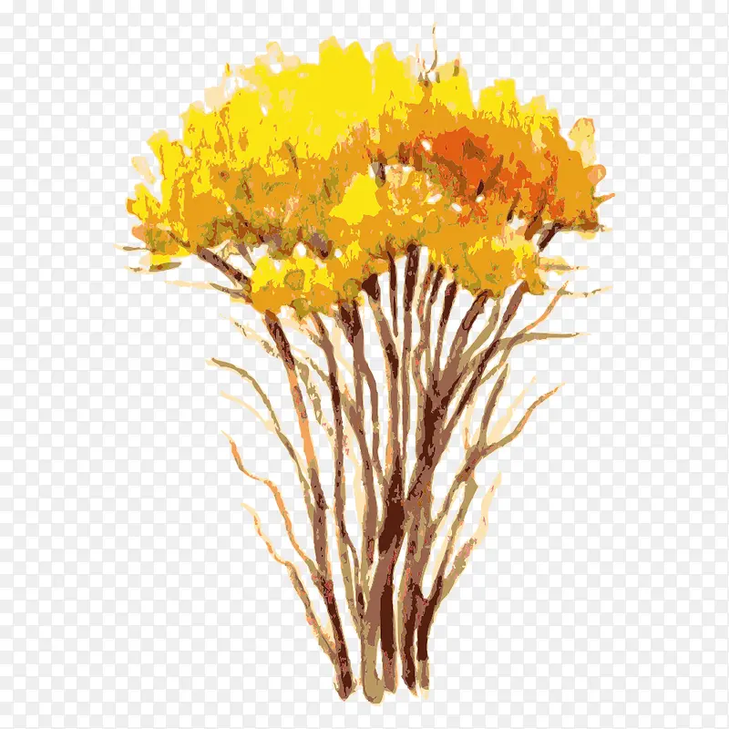 �� ��ľ-������