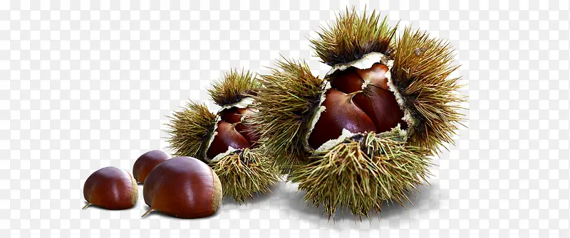 ˮ��-������