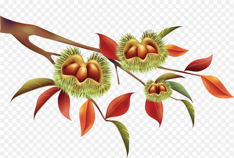 ������֦-������