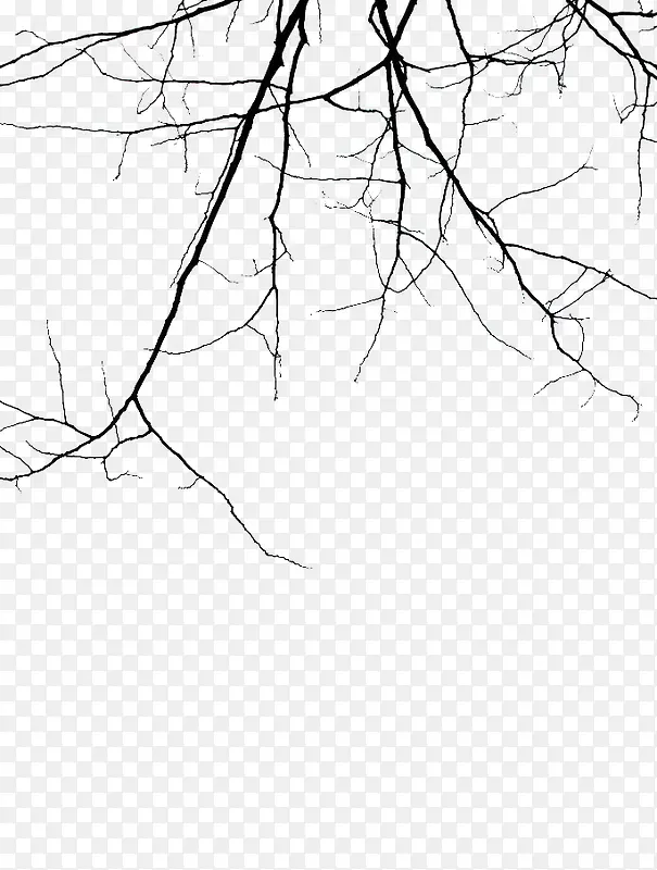 ��ɫ�Ŀ���֦-������