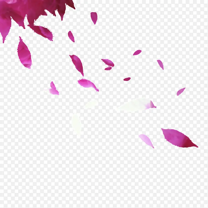 ��ɫ��Ҷ-������