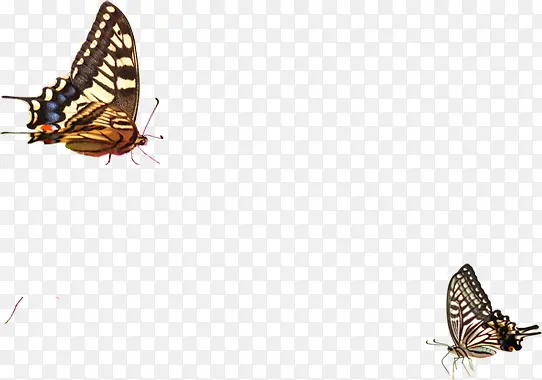 ʱ�м�Լ�����ֻ�-������