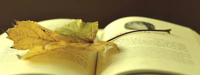 ʱ�м�Լ��������-������