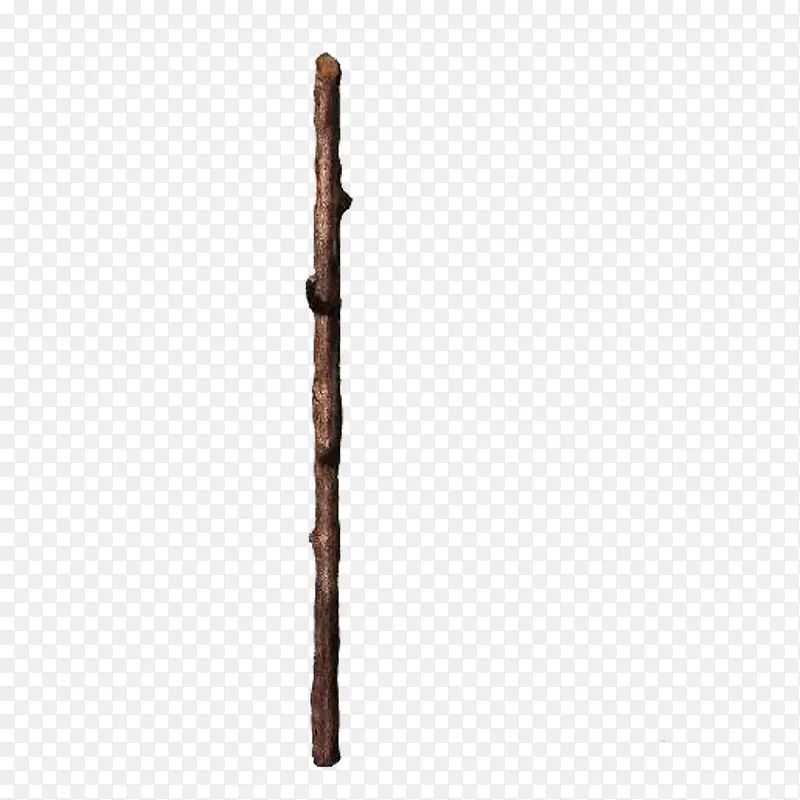 �ִ���Լ��ɫ��֦-������