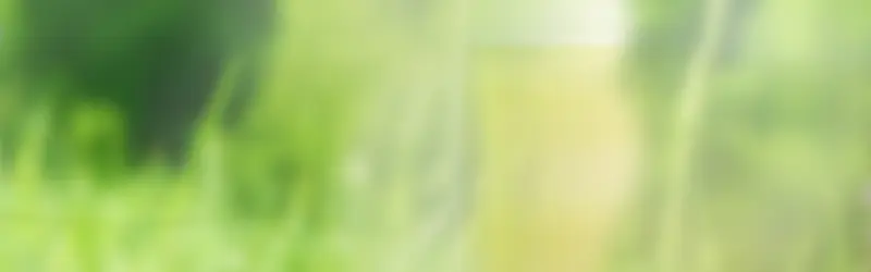 ��Լʱ�б���-������