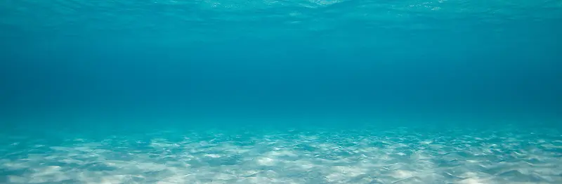 ��Լʱ�б���-������