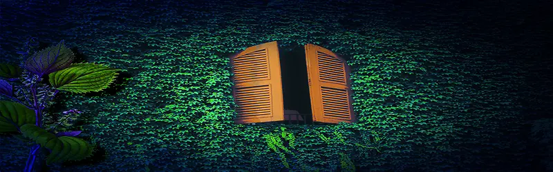 v�����Լʱ�б���-������