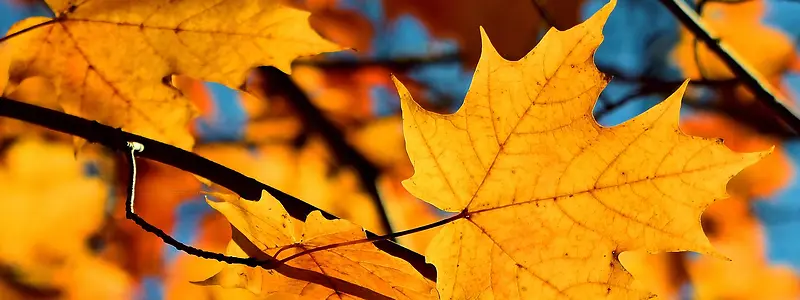 ʱ�м�Լ��������-������