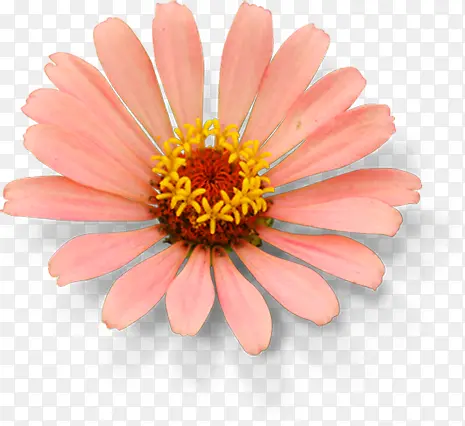 ��ɫ����ʱ�л������-������