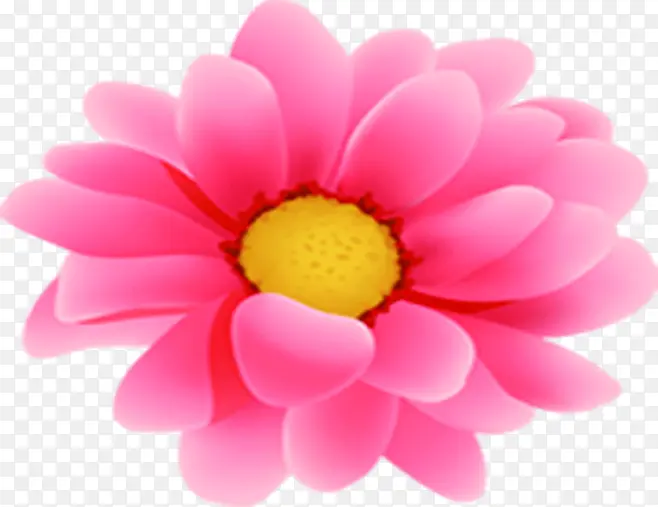 ��ɫ��ͨѤ������ʱ��-������