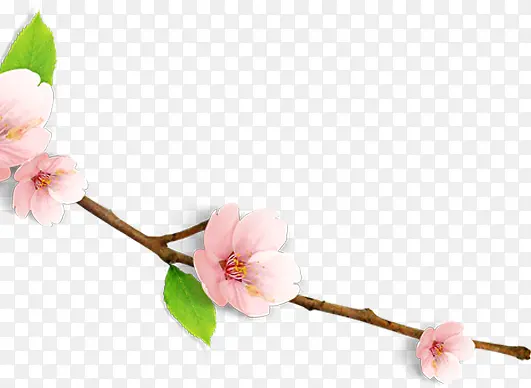 ��ɫ��ͨ������֦-������