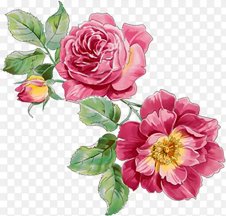 ��ɫˮ�ʻ���ֲ��װ�ΰ���-������