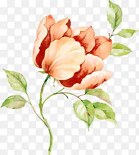 �ֻ�Ʒ�ɫˮ�ʻ���-������