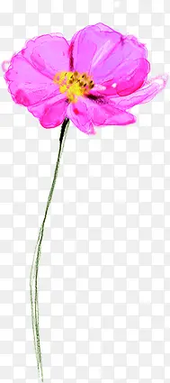 ��ɫˮ�ʴ�������-������