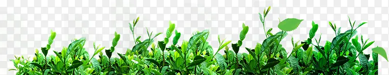 �̵�-������