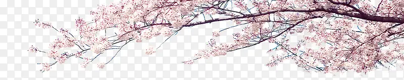 ��ɫ�λ���֦����-������