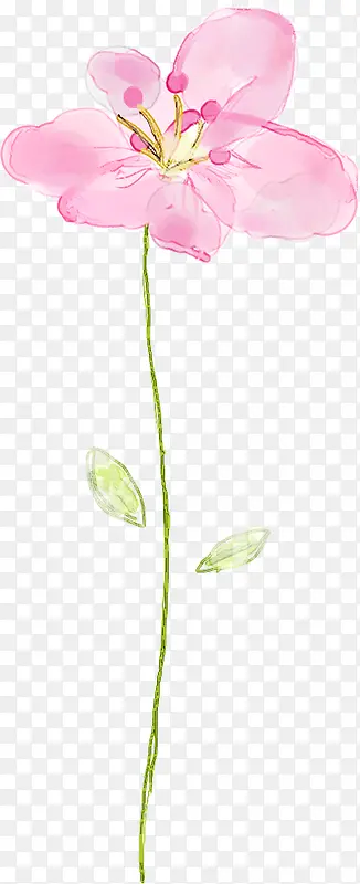 ��ɫ��ͨˮ�ʻ���-������