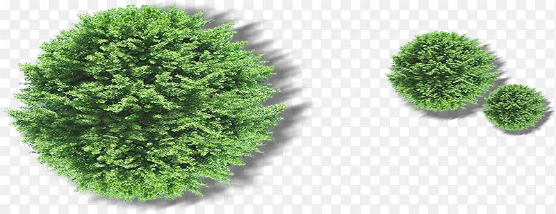 �̵�-������