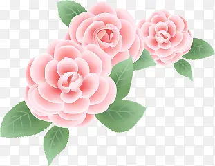 �ֻ��ɫ����ˮ��-������