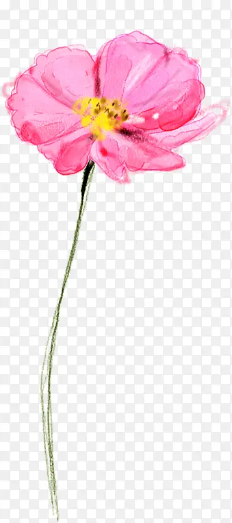 ��ɫˮ�ʻ��䴺��-������