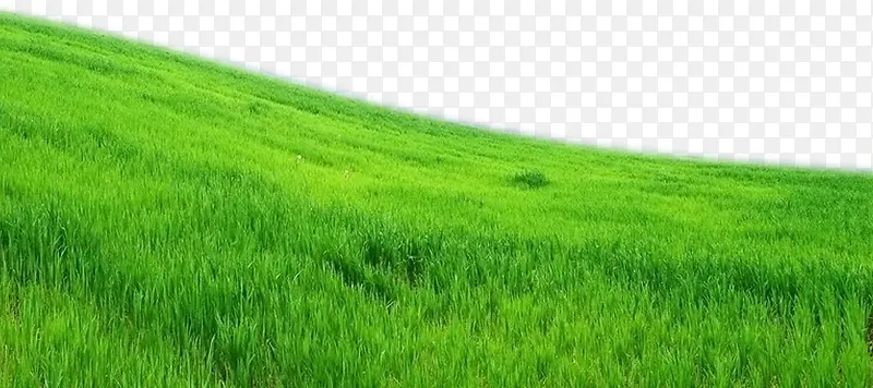 �̵�-������