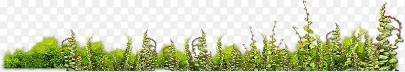 �̵�-������