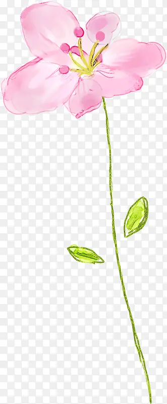 ��ɫ�ɰ��崿����-������