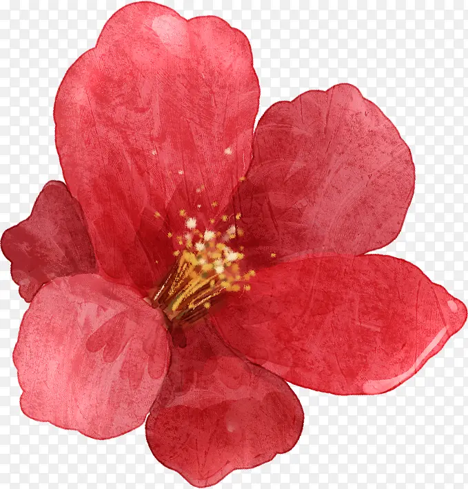 �ֻ��ɫˮ��С����-������