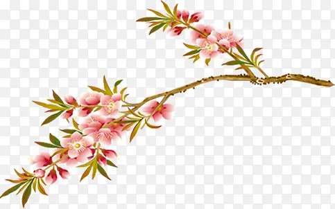 ��ɫ�ɰ���������-������