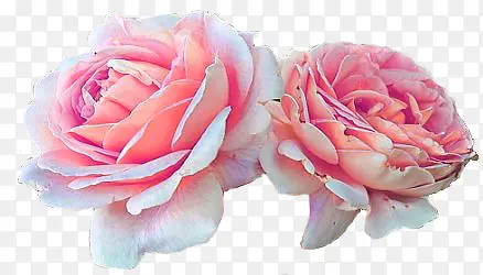 ��ɫ���䴴�����-������