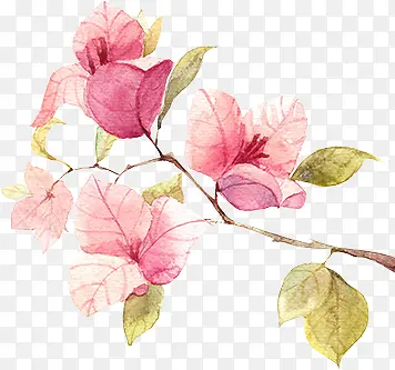 ��ɫ�ɰ���������-������