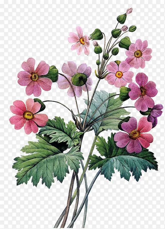 ʱ�з�ɫ����ֲ��-������