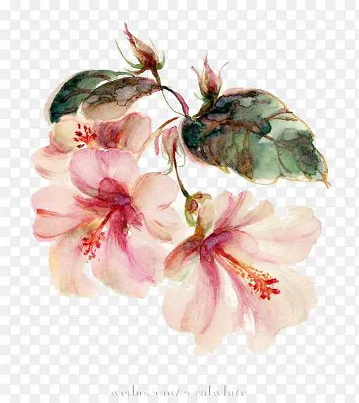 ��ɫ����ʱ�л��䴺��-������