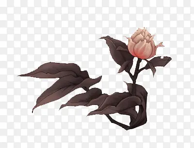 ��ɫʱ����ƻ���-������