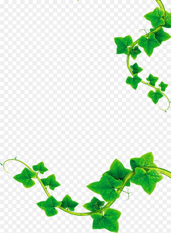 ��ɫ��ͨ��֦�����ֻ�-������