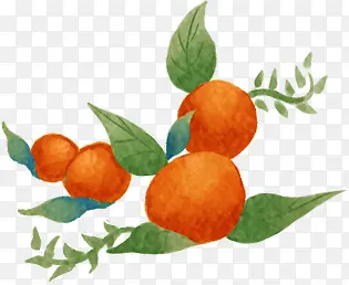 �ֻ澫�¹�ʵ��֦-������