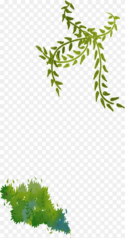 ��ɫ��ˬ�ֻ���֦����-������