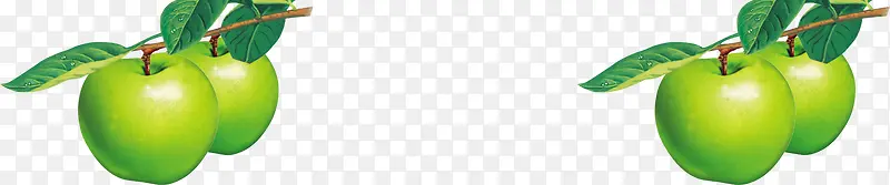 ��ɫ��ƻ����֦�ֻ�-������