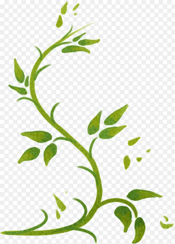 ��ɫ�ֻ���֦����-������