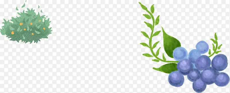 �ֻ�ɰ���ݮ��֦-������