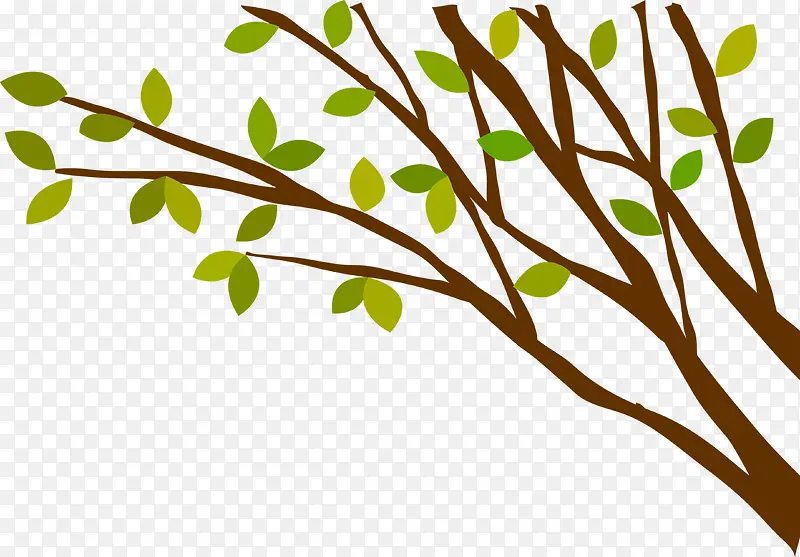 �ֻ���ֲ֦��Ч��-������