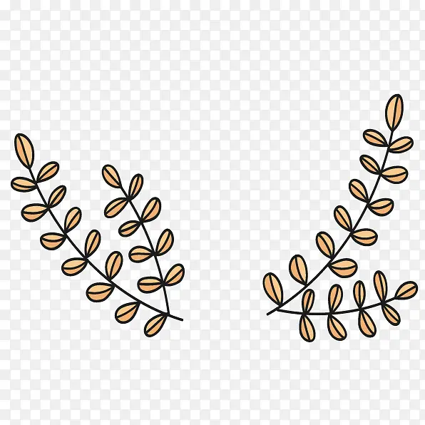 ��ͨ��֦-������