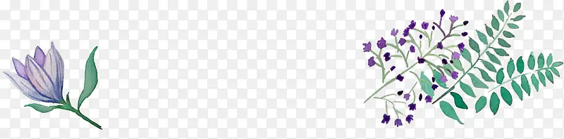 �ֻ��Լ����ֲ����֦-������