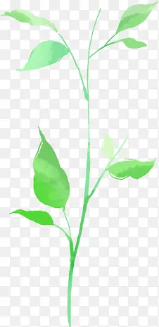 �ֻ���ɫ��֦���-������