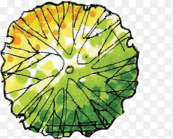 �ֻ���ľ��֦����-������