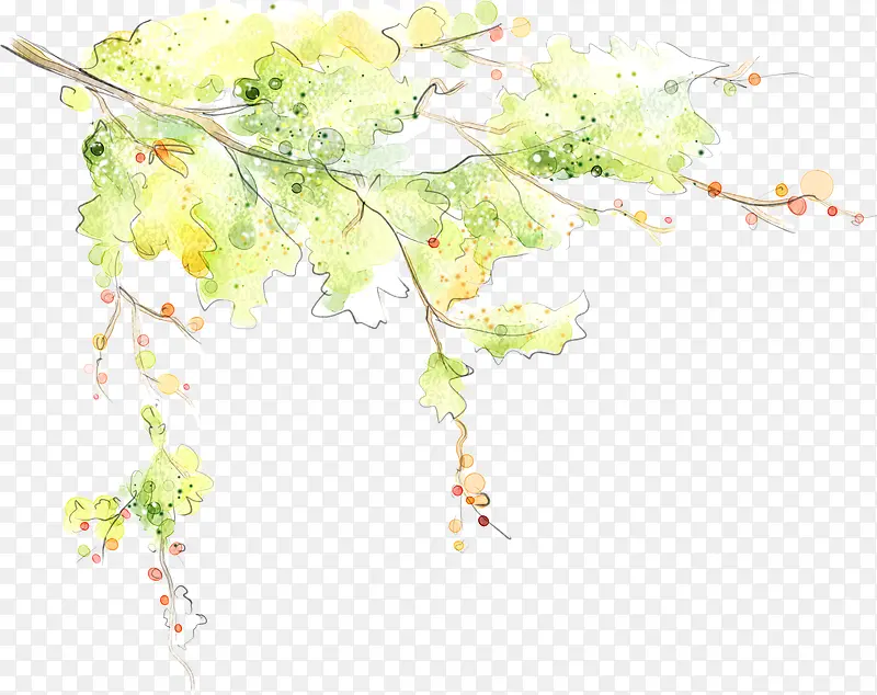 �����ֻ�ˮ����֦��ľ-������