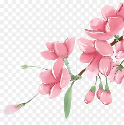 �ֻ�廭ֲ�ﻨ����֦-������