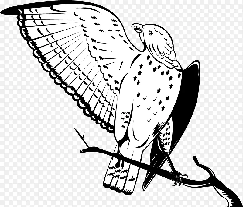 ʸ���ֻ���֦�ϵ�ӥ-������