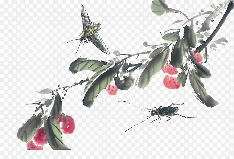 �ŷ�֦Ҷ-������