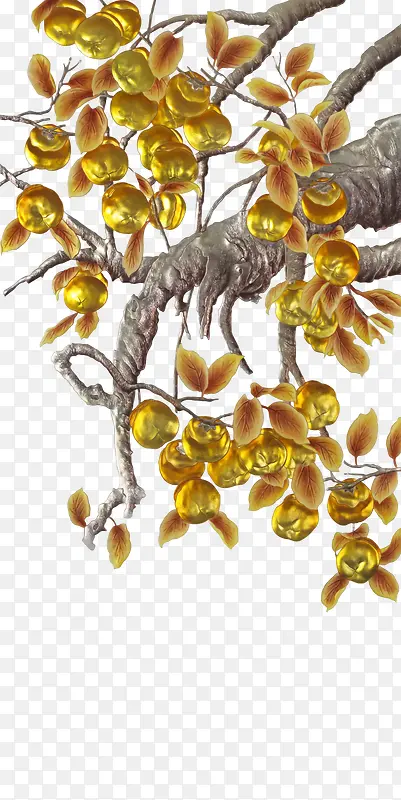 �ֻ���ֲ֦���ʵ-������